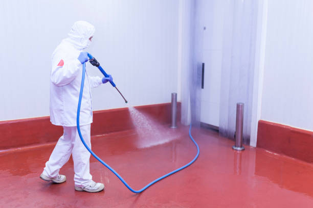 Best Pre-Holiday Cleaning  in Rosedale, MD