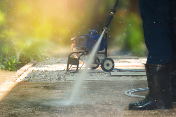 Best Solar Panel Cleaning  in Rosedale, MD